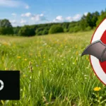 9251e2c2a05f06af48a279364bc3149d