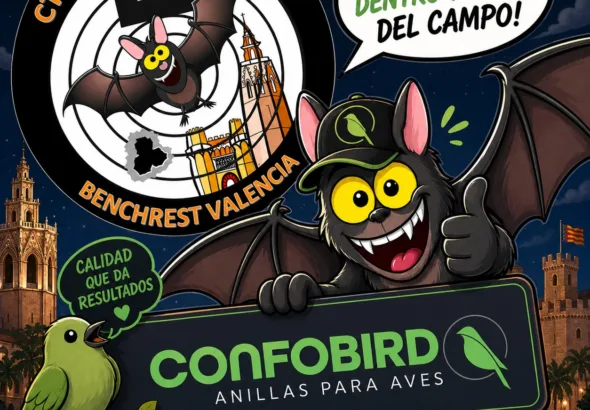 CONFOBIRD_fly